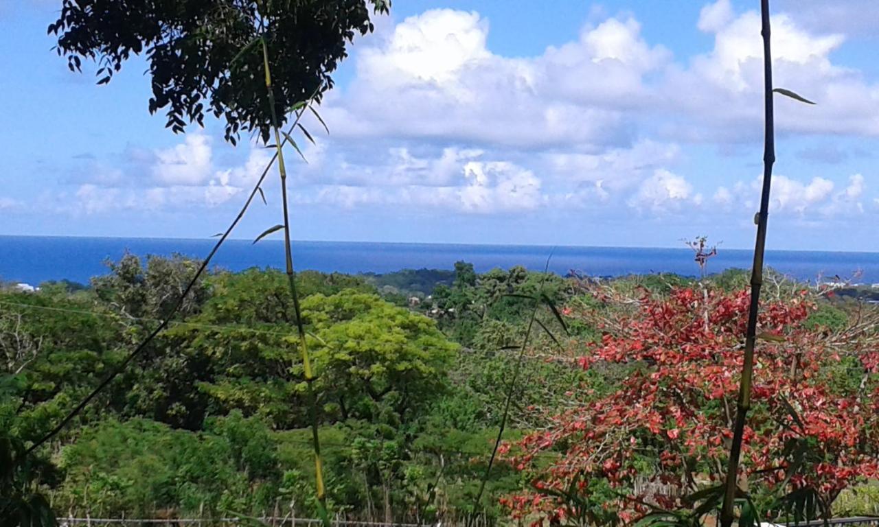 B&B El Mirador Al Mar Сосуа Екстер'єр фото