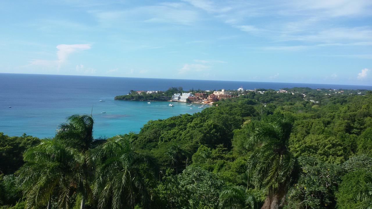 B&B El Mirador Al Mar Сосуа Екстер'єр фото